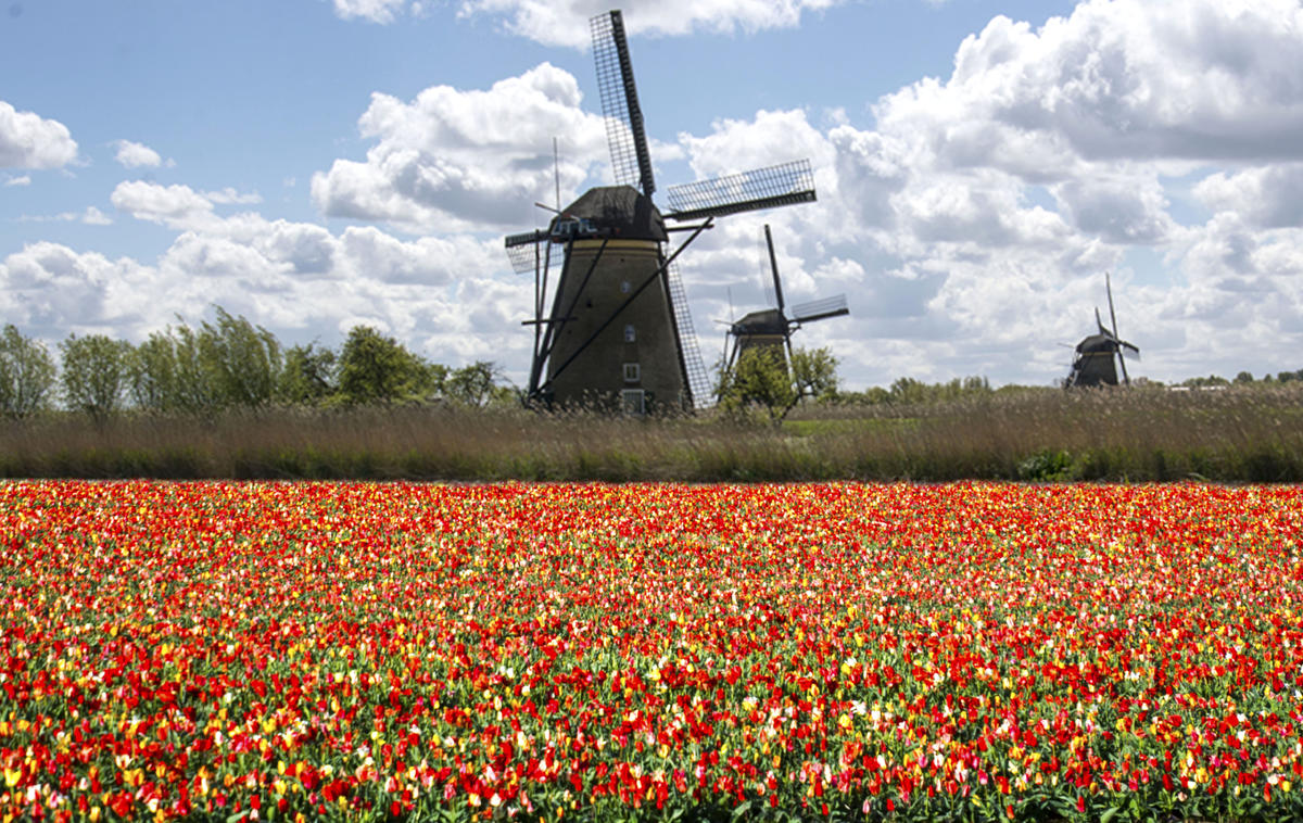荷兰旅游必去景点
