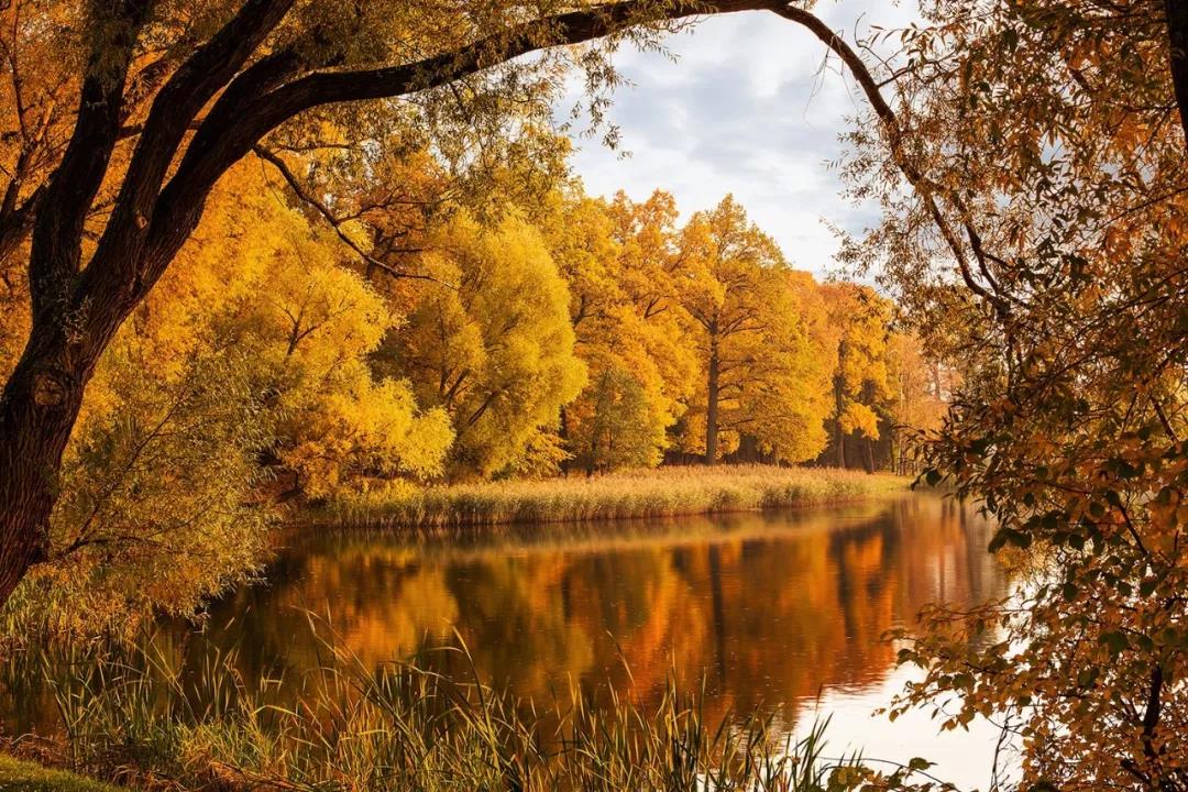 英国秋天哪里最美？英国旅游必去的“英伦范”景点有哪些？